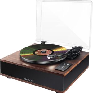 Hernido Vinyl Record Player Review